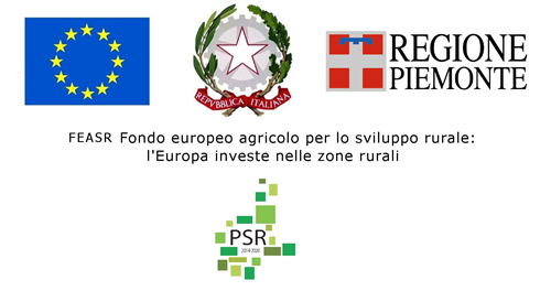 Regione Piemonte - Operazione 8.4.1 - Ripristino dei danni alle foreste da incendi, calamità naturali ed eventi catastrofici